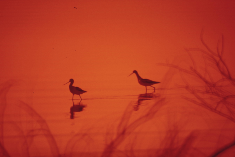 El arte de la&nbsp;conexión